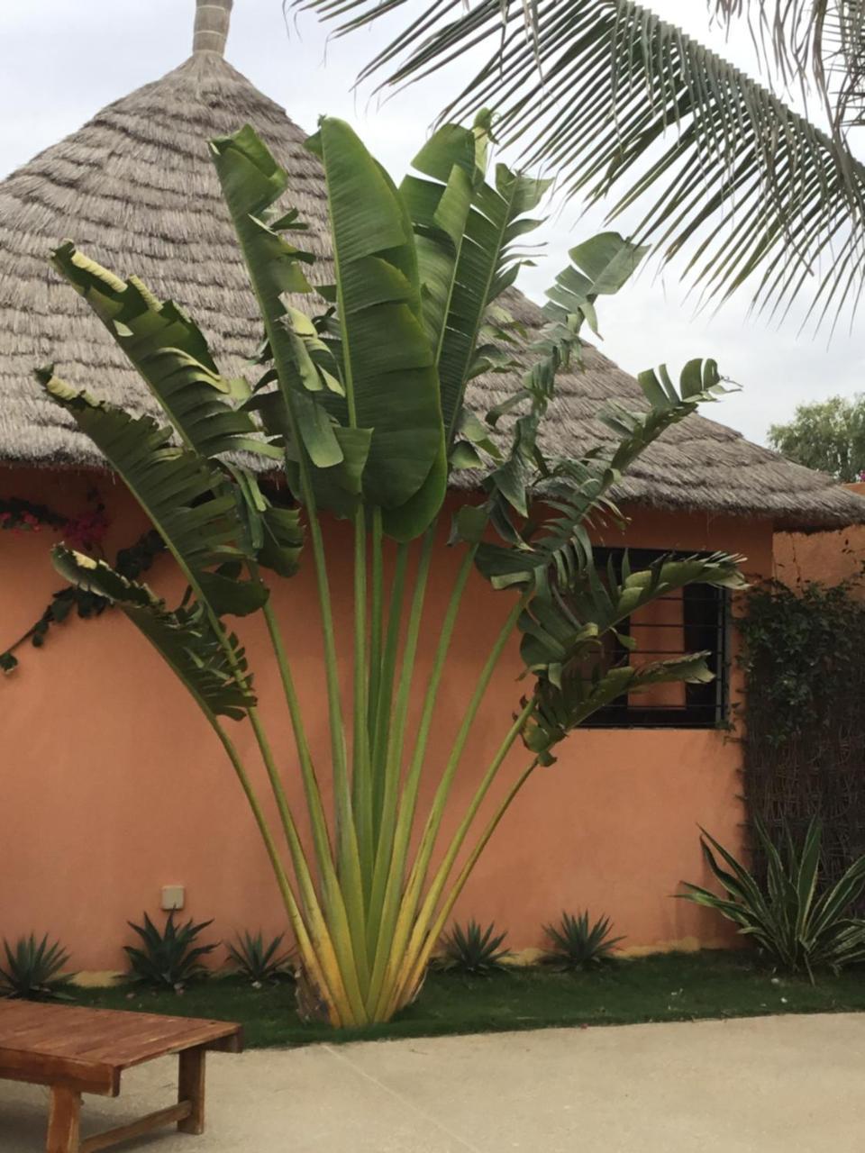 Terra Lodge Sénégal Mbour Kültér fotó