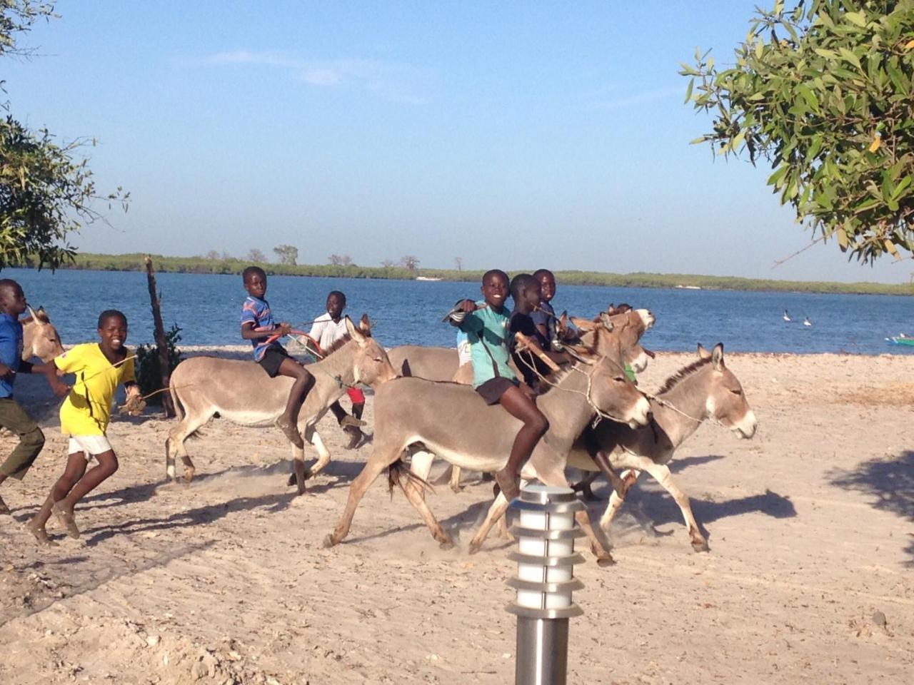 Terra Lodge Sénégal Mbour Kültér fotó