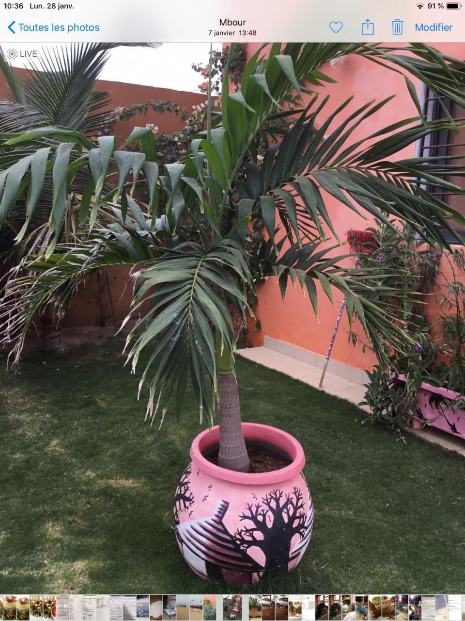 Terra Lodge Sénégal Mbour Kültér fotó
